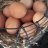 Fresh Farm Eggs sold on site….
